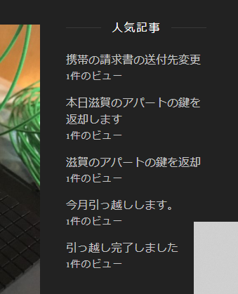 人気記事はPV数となるので、今後のブログ運営の参考になります。