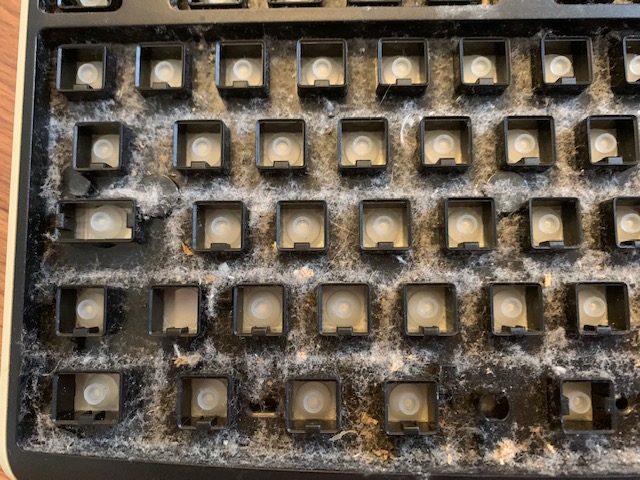 キーボードを掃除してみました