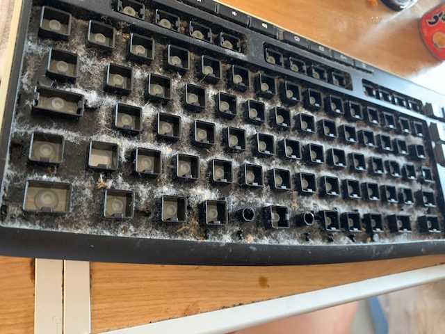 キーボードを掃除してみました